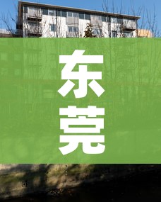 东莞一地升级为中风险地区/东莞中风险地区清零 东莞一地升级为中风险地区/东莞中风险地区清零