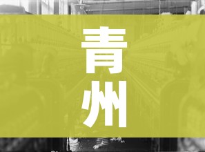 青州疫情:青州疫情蔬菜配送