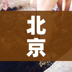 北京新型冠状病毒/北京新型冠状病毒实时动态