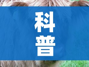 科普一下“微信牛牛群斗牛群”房卡获取方式 科普一下“微信牛牛群斗牛群”房卡获取方式