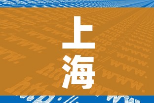 上海发布累计感染前五位地区:上海累计确诊新型肺炎