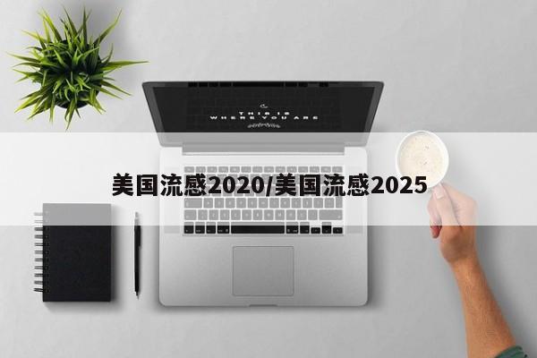 美国流感2020/美国流感2025