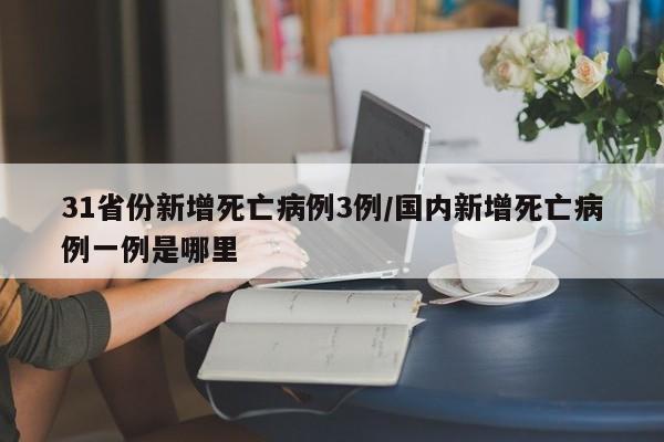 31省份新增死亡病例3例/国内新增死亡病例一例是哪里