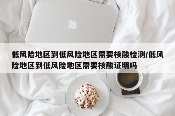 低风险地区到低风险地区需要核酸检测/低风险地区到低风险地区需要核酸证明吗