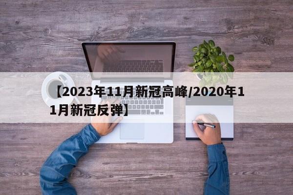 【2023年11月新冠高峰/2020年11月新冠反弹】