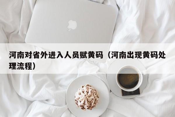 河南对省外进入人员赋黄码（河南出现黄码处理流程）