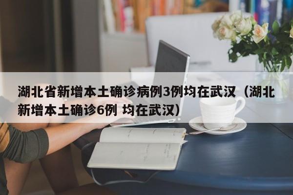 湖北省新增本土确诊病例3例均在武汉（湖北新增本土确诊6例 均在武汉）