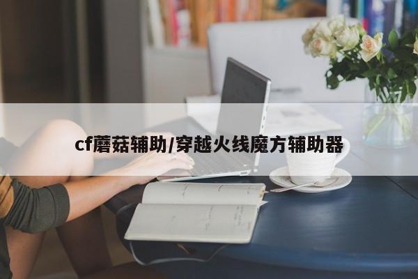 cf蘑菇辅助/穿越火线魔方辅助器
