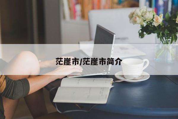 茫崖市/茫崖市简介