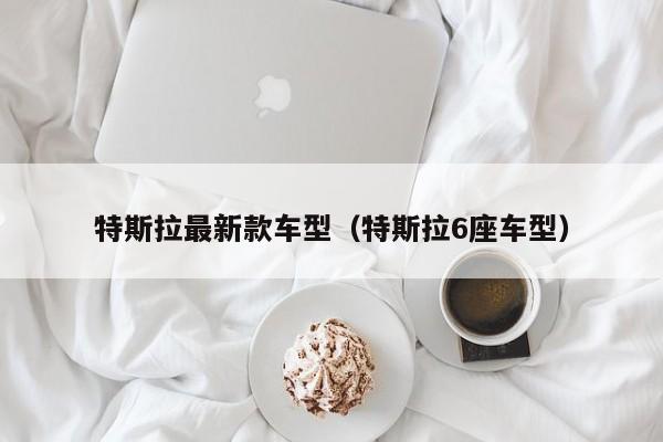 特斯拉最新款车型（特斯拉6座车型）
