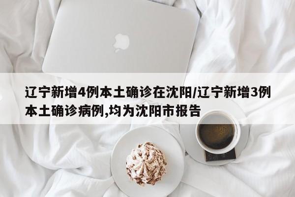 辽宁新增4例本土确诊在沈阳/辽宁新增3例本土确诊病例,均为沈阳市报告