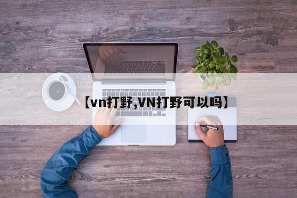 【vn打野,VN打野可以吗】